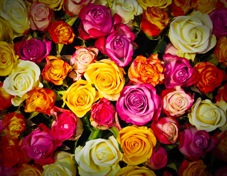Incienso rosas